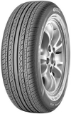 GT Radial